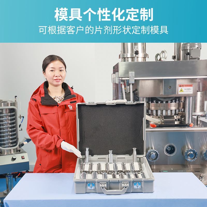 RQ-ZP-29D全自动旋转式压片机